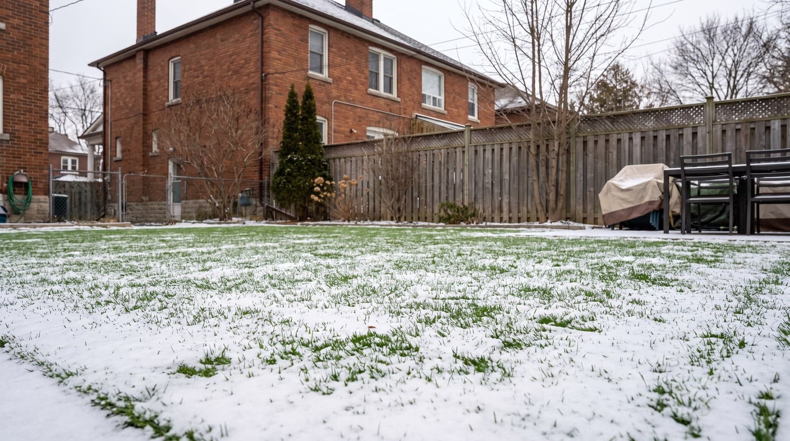 Artificial grass lawn in a Toronto backyard under a light dusting of snow in winter with a brick house behind