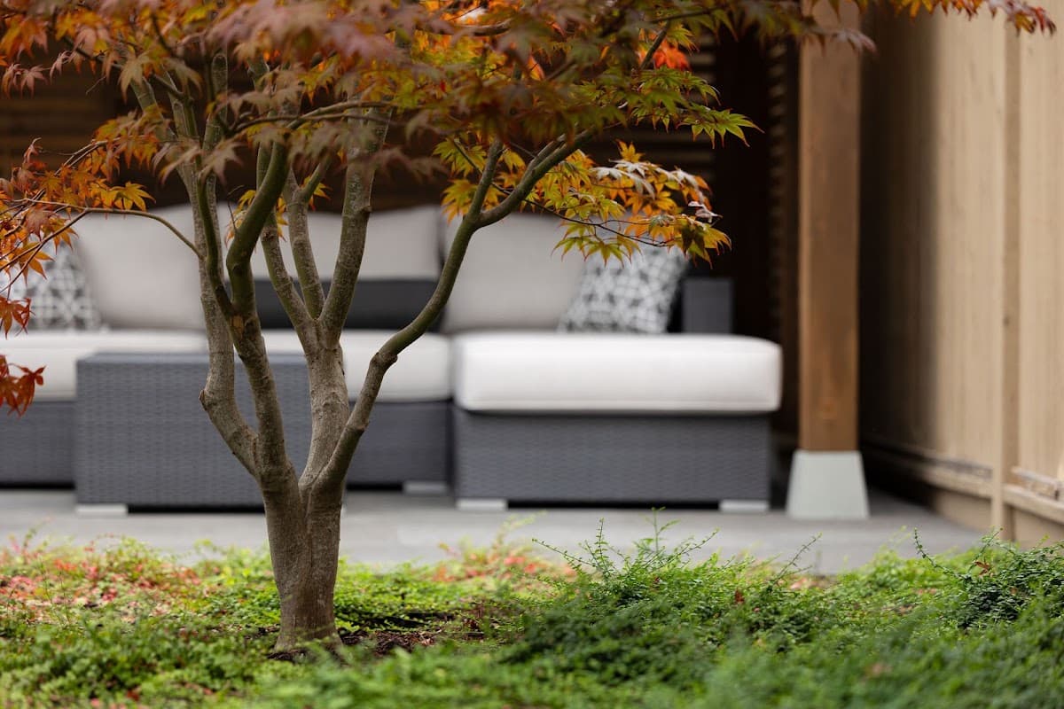 161 Studio | Landscape Consultants project photo