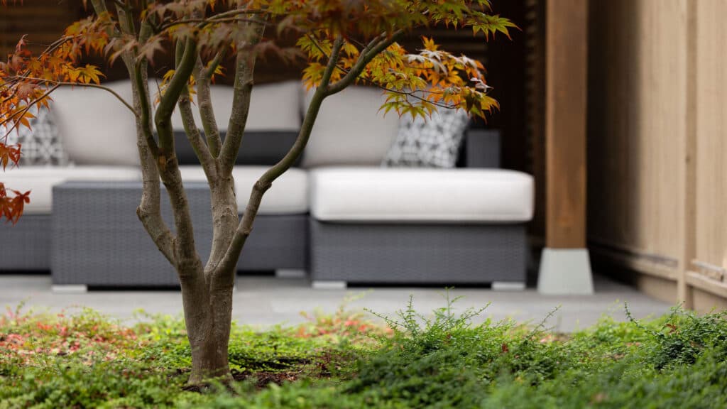 161 Studio | Landscape Consultants photo 3