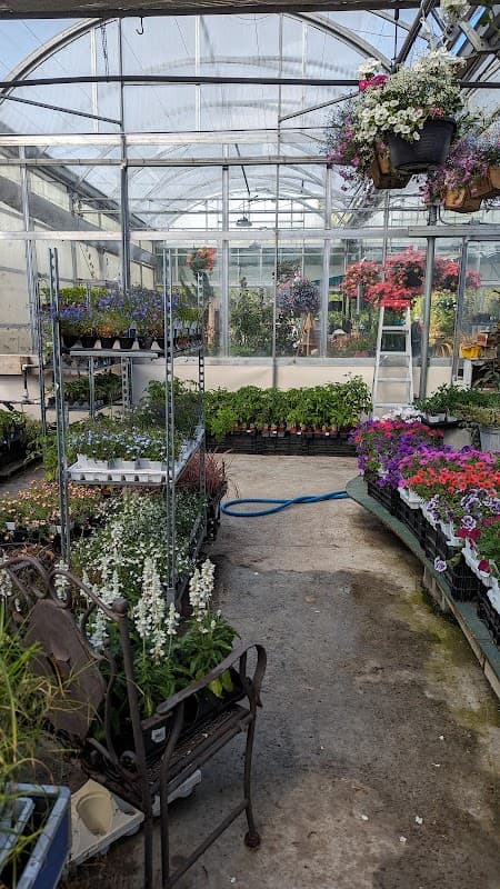 Aarts Nursery Ltd photo 2