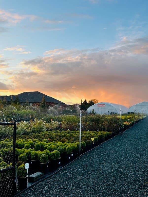 Acme Farms & Nurseries photo 5