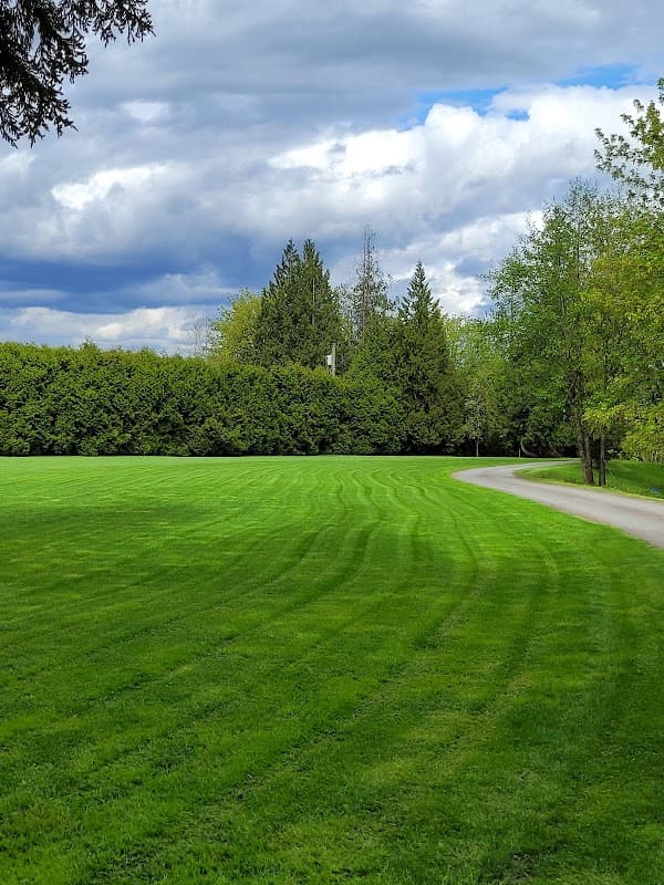ACUTUS LANDSCAPING project photo