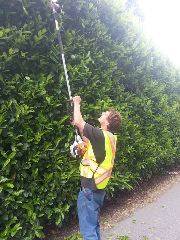 All-You-Need Lawn & Garden Care - Vancouver Lawn and Garden Care Services