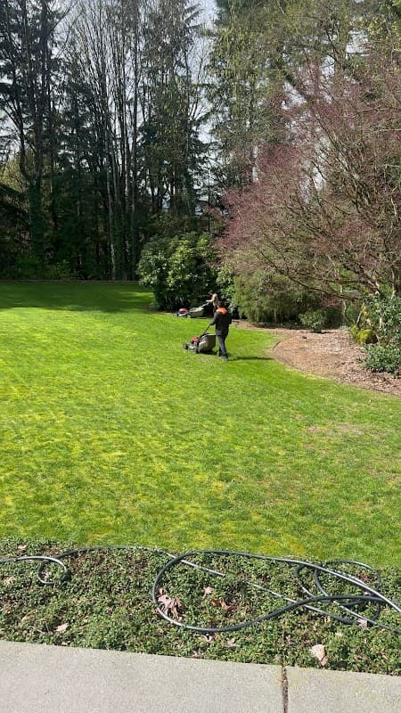 Alp Landscaping Ltd 🌿 photo 2
