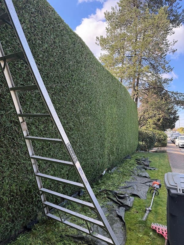 Alp Landscaping Services