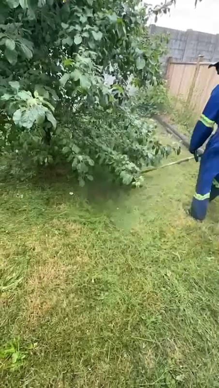Alp Landscaping Services photo 2