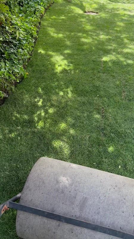 Alp Landscaping Services photo 3