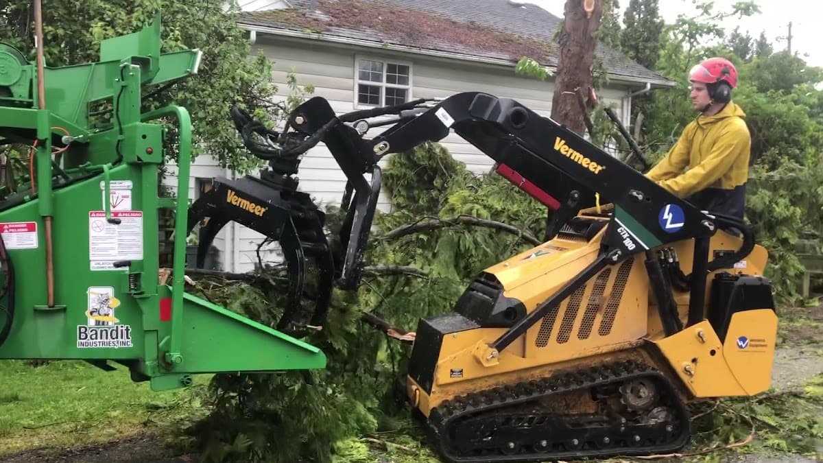 Alpine Tree Care photo 4