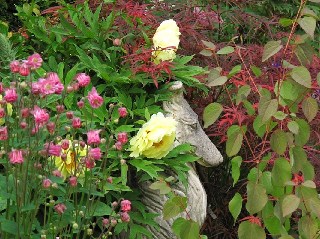Amanda's Garden Consulting