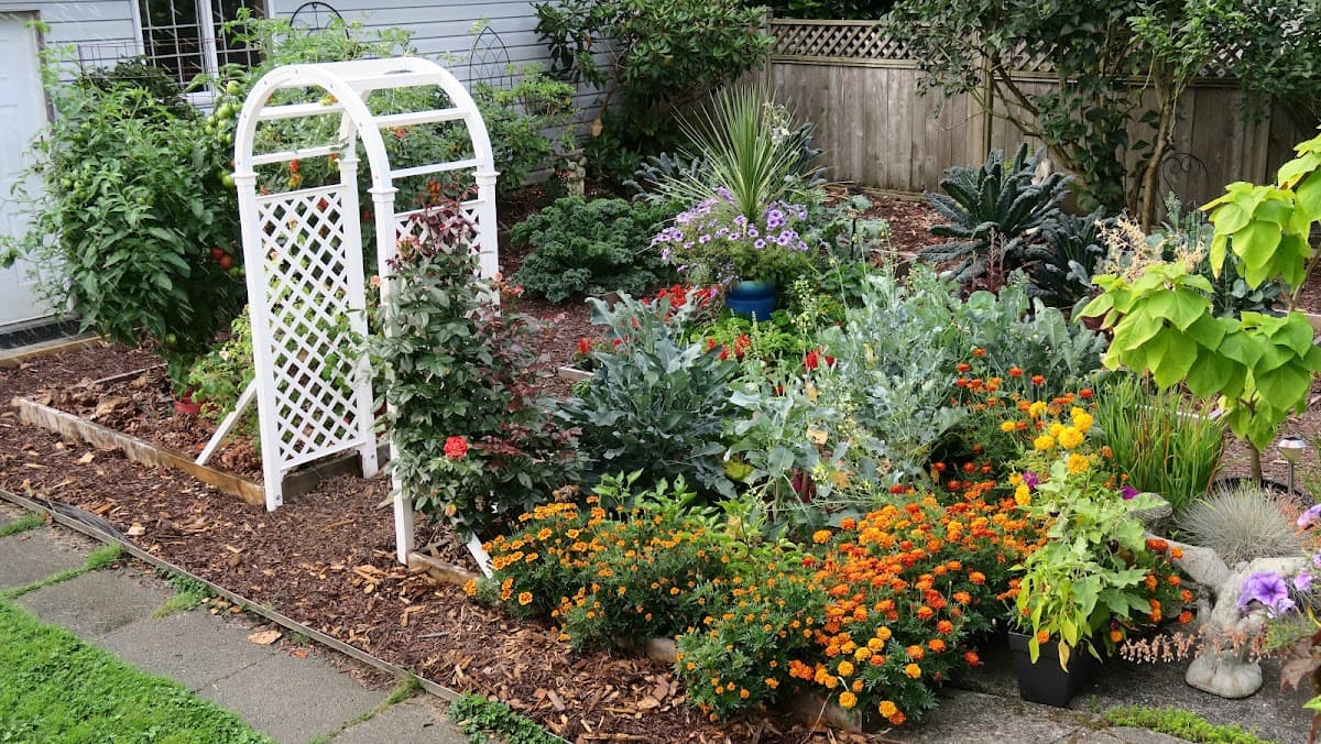 Amanda's Garden Consulting photo 2