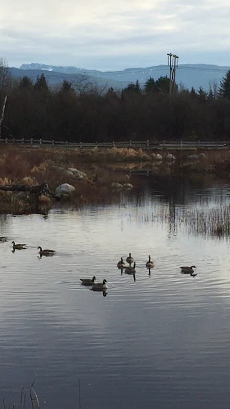 Amrize Pitt River Quarries photo 3