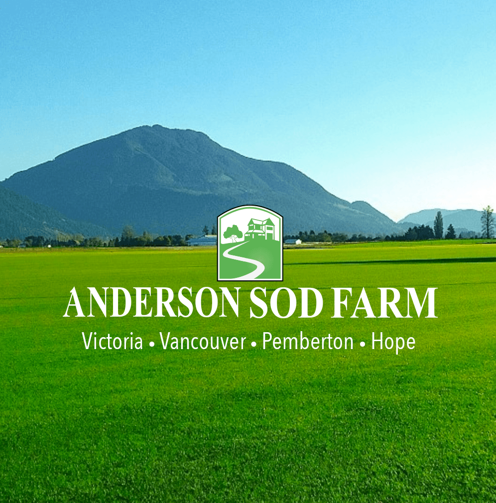 Anderson Sod Farm Ltd. photo 4