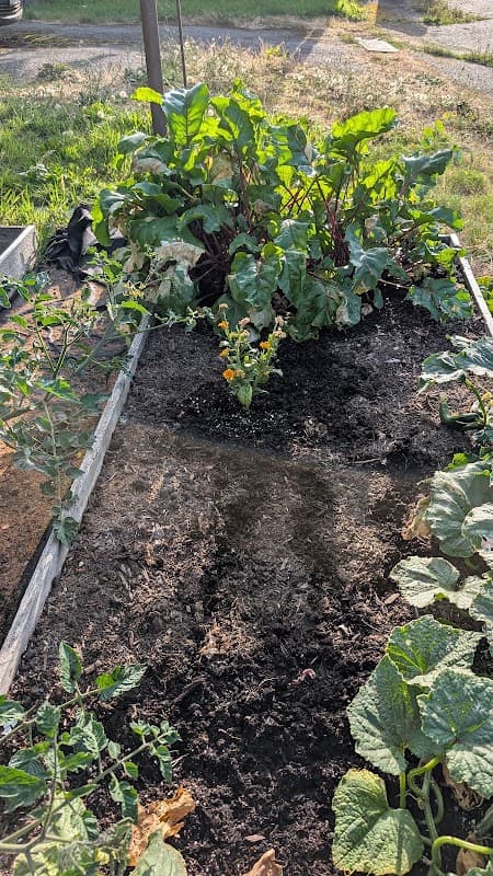 Artisan Garden Group photo 2