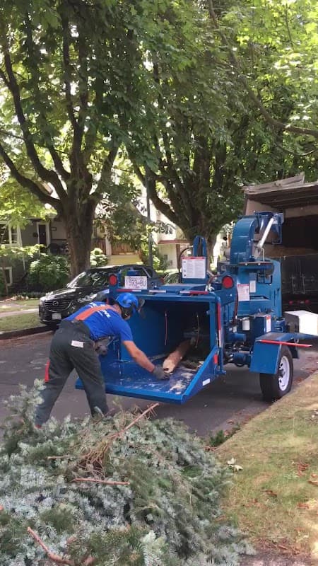 Ash Grove Tree Solutions Inc. photo 2