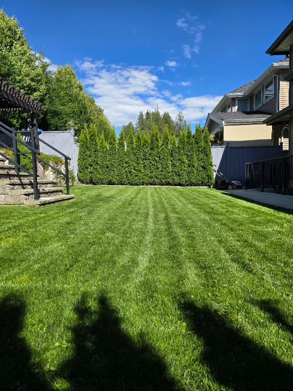 AstraGreen Lawn Care project photo