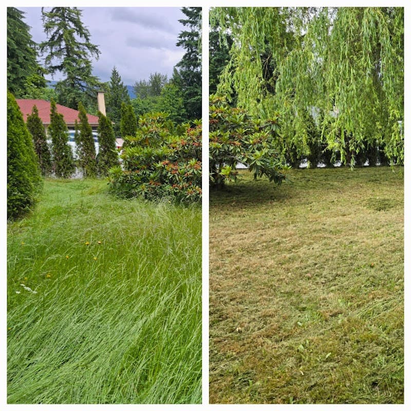 AstraGreen Lawn Care photo 2