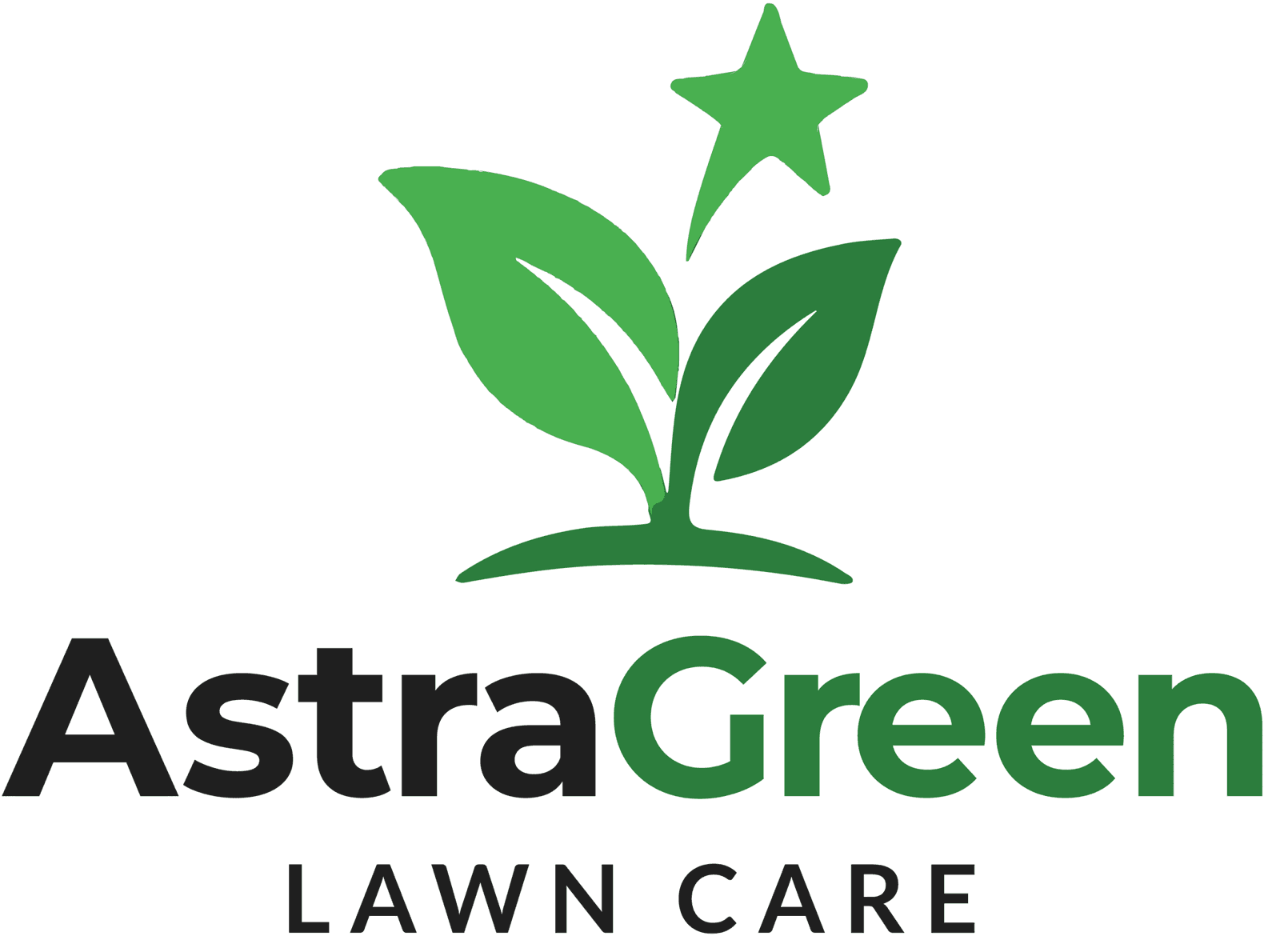 AstraGreen Lawn Care photo 3