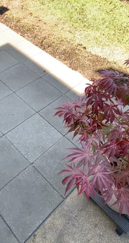 Atkinson Landscaping Inc. photo 3