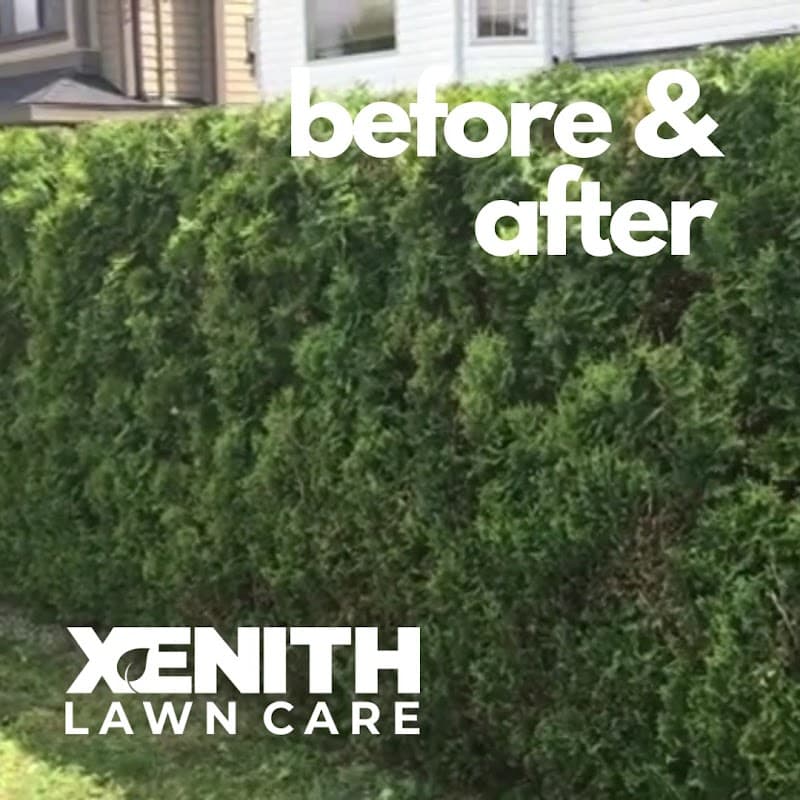 Augusta Lawn Care of Burnaby