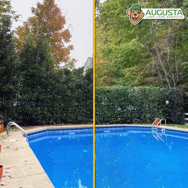 Augusta Lawn Care of Whatcom County photo 4