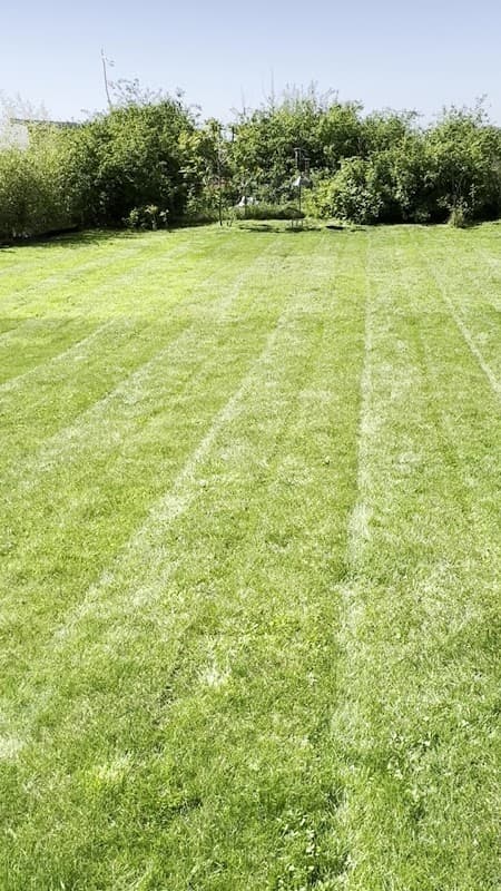 Aura Landscaping photo 3