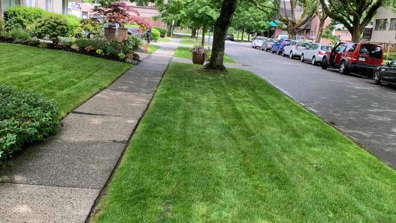Aurelius Lawn Care Services photo 2