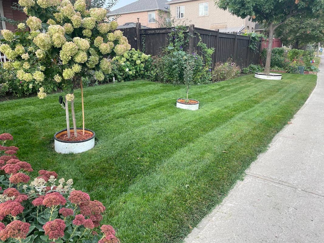 AVD Landscaping & Snow Removal