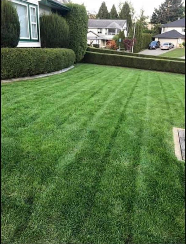 BA's Lawn Care photo 2