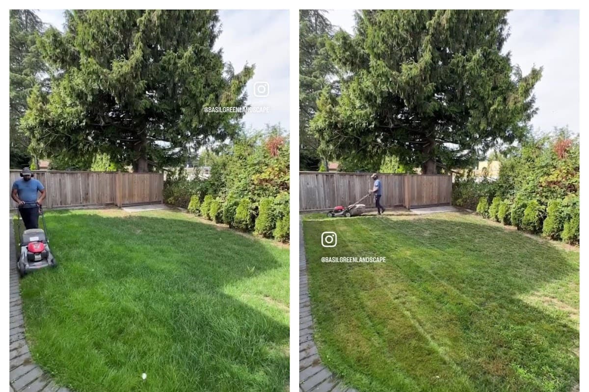 Basil Green Landscaping photo 3