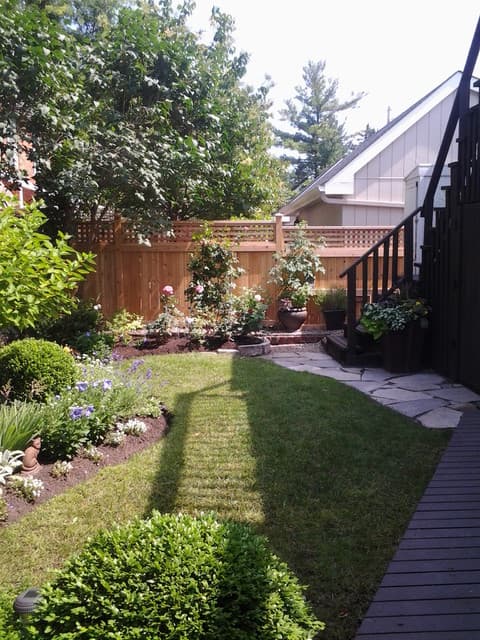 Basil Green Lawn Care