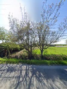 BC Instant Lawns and Landscapes photo 3