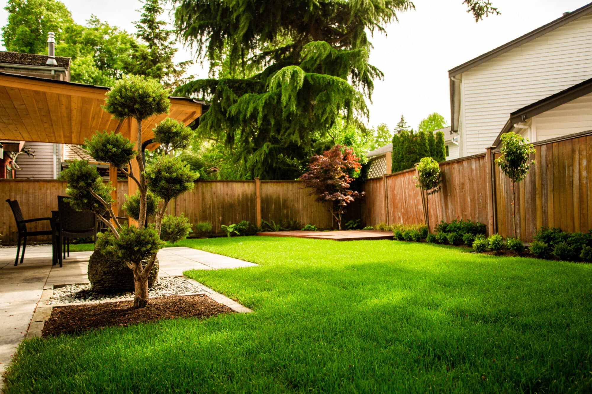 BC Instant Lawns and Landscapes photo 4