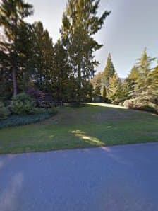 BC Tree Service photo 2