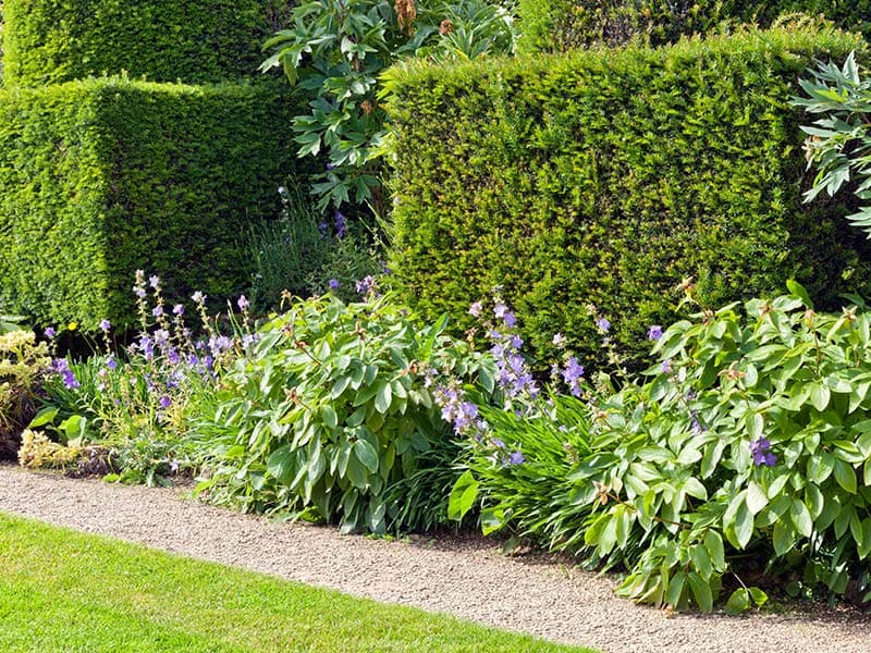 Beaudry Landscapes project photo