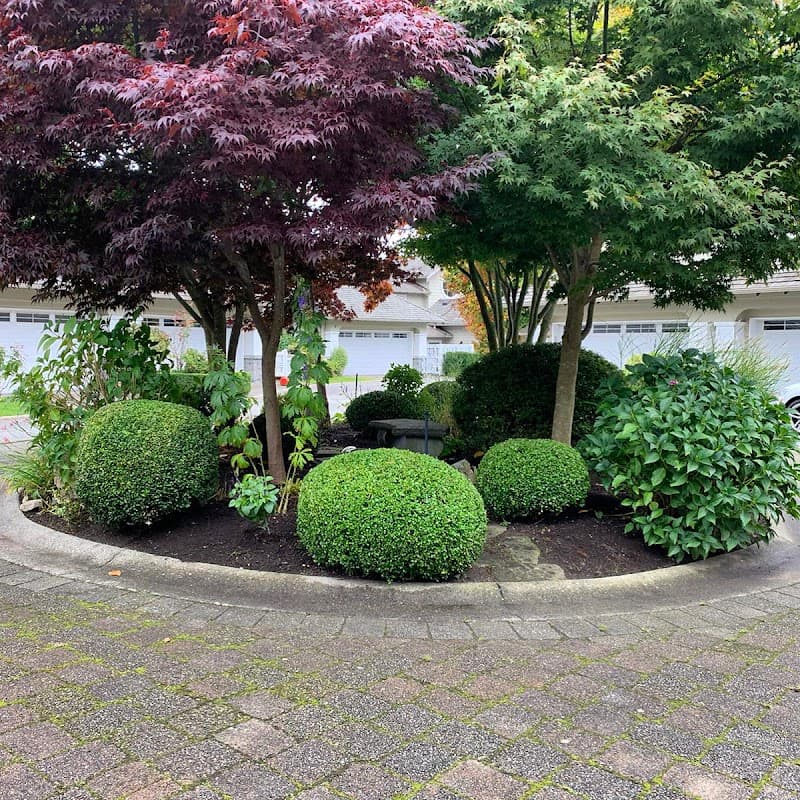 Belleview Landscaping photo 2