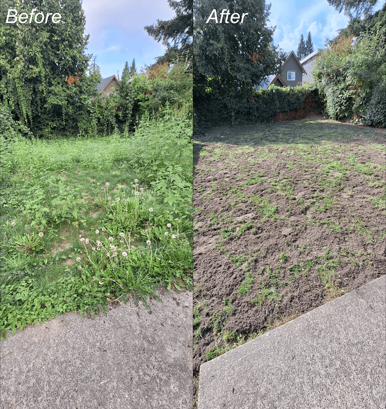 Beyond Landscaping Burnaby photo 3