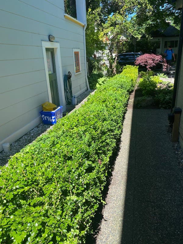 Beyond Landscaping West Vancouver photo 3