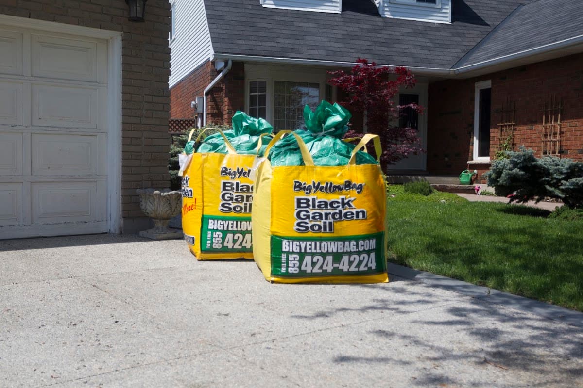 BigYellowBag project photo