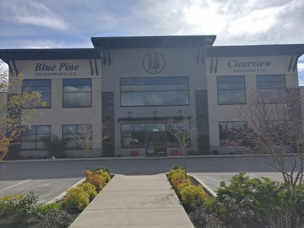 Blue Pine Enterprises Ltd.