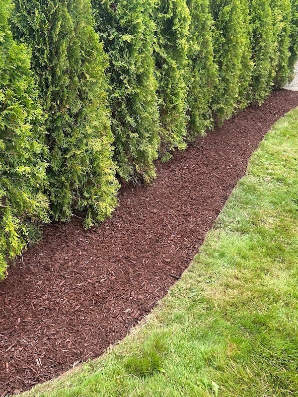 Borderview Lawn Care photo 5