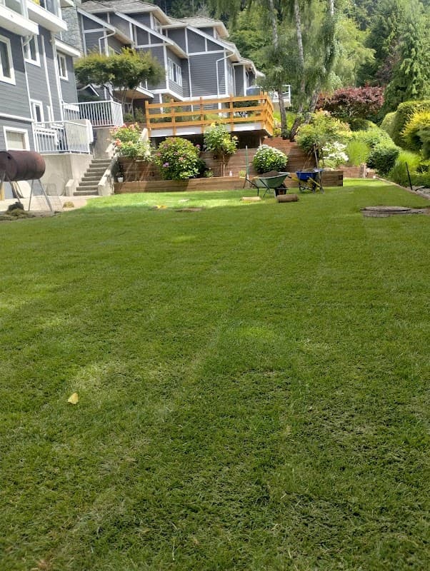 Bos Sod Farms Inc photo 2