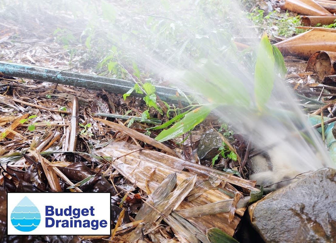 Budget Drainage project photo