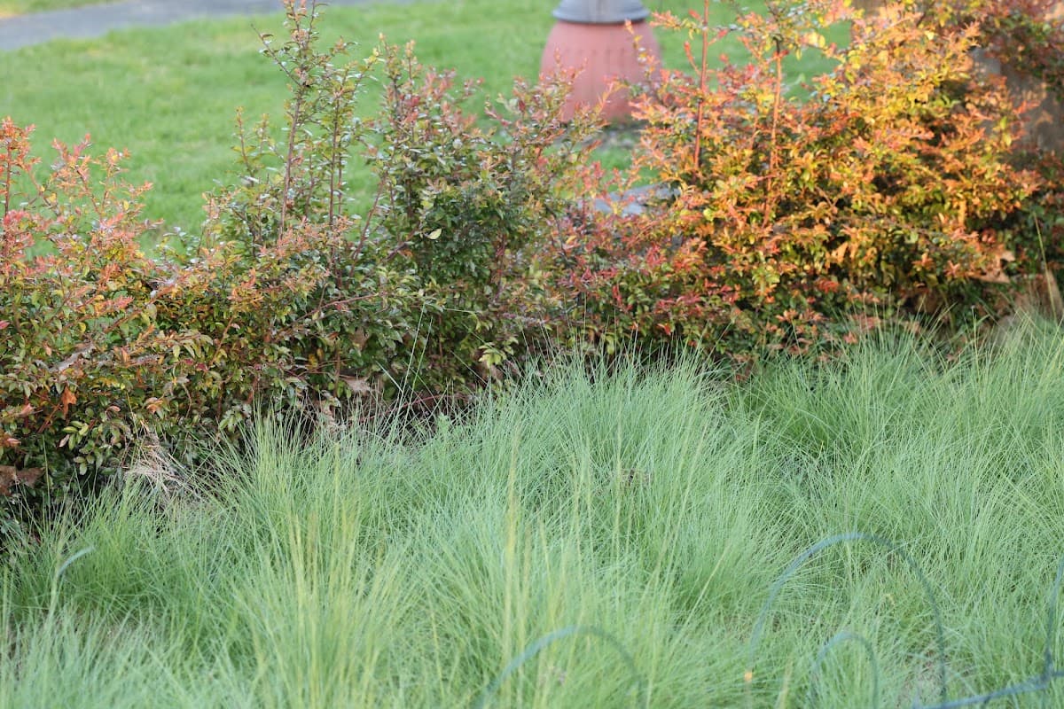 Carleton Landscaping