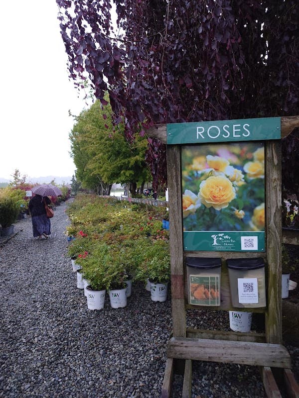 Cedar Rim Nursery Ltd photo 4