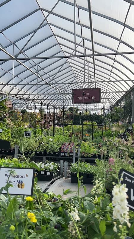 Cedar Rim Nursery Ltd photo 6
