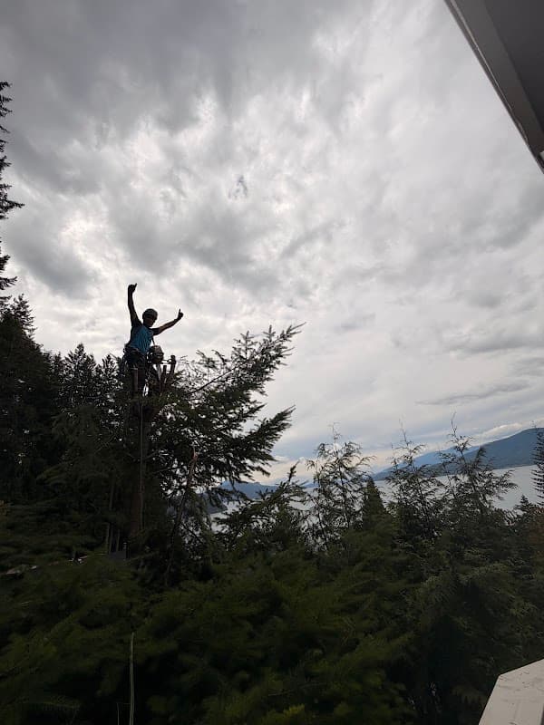 Chikara Tree Services photo 2