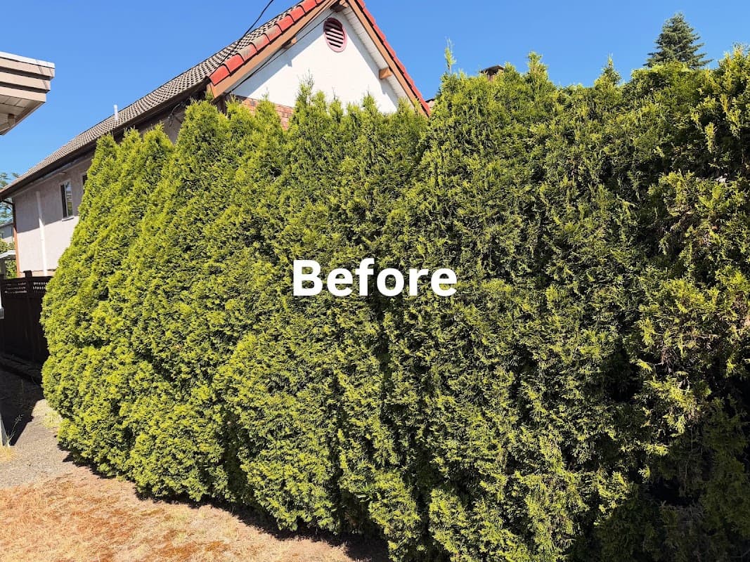 Chikara Tree Services photo 4