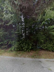Chikara Tree Services photo 6