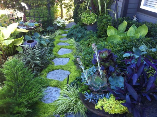 CJs Gardening