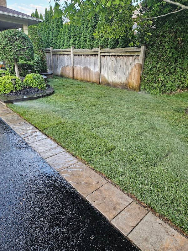 Clarington Sod & Lawn Care photo 2